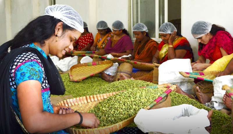Commodity grading and inspection