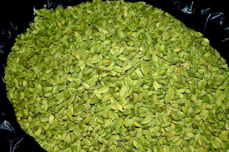 Graded pulses ready for export